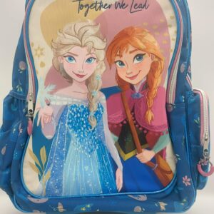 Τσάντα Τρόλεϊ Δημοτικού Frozen