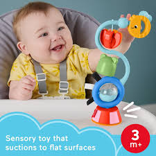 FISHER PRICE ΠΑΙΧΝΙΔΙ ΔΡΑΣΤΗΡΙΟΤΗΤΩΝ ΜΕ ΒΕΝΤΟΥΖΑ
