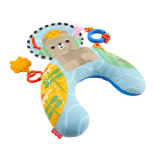 FISHER PRICE ΜΑΞΙΛΑΡΑΚΙ ΔΡΑΣΤΗΡΙΟΤΗΤΩΝ ΜΕ ΑΡΚΟΥΔΑΚΙ